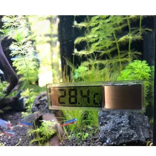 Digital Aquarium Thermometer â LCD Fish Tank Temperature Meter