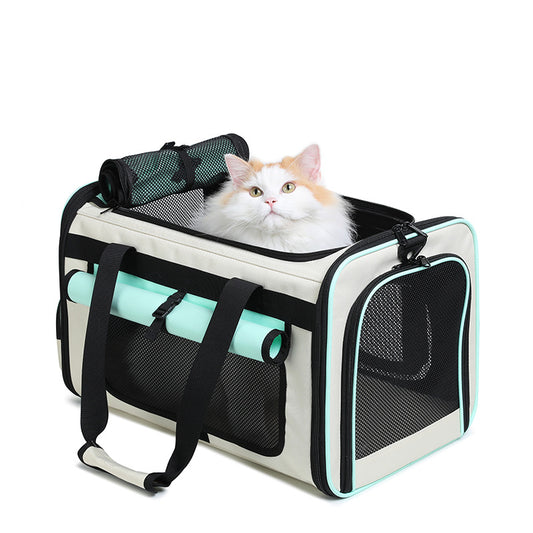 Handbag for Pets