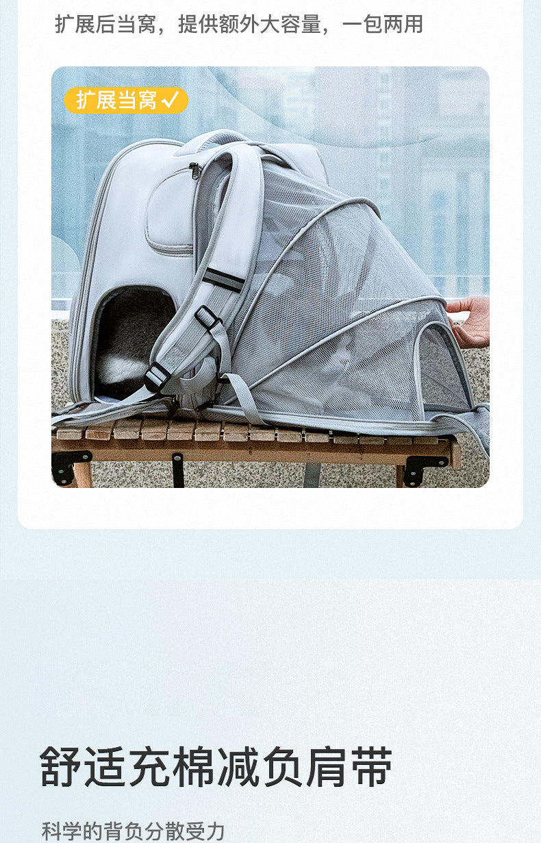 Portable Cat Carrier with Opening