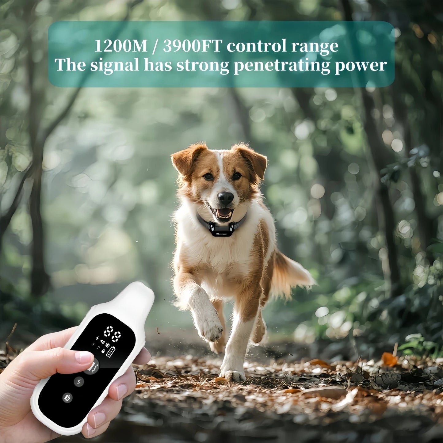 Digital Dog Training Collar Waterproof Rechargeable Remote Control