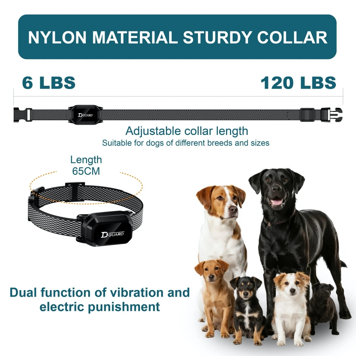Digital Dog Training Collar Waterproof Rechargeable Remote Control