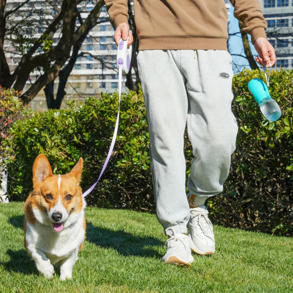 Pet Dog Water Bottle 300ML
