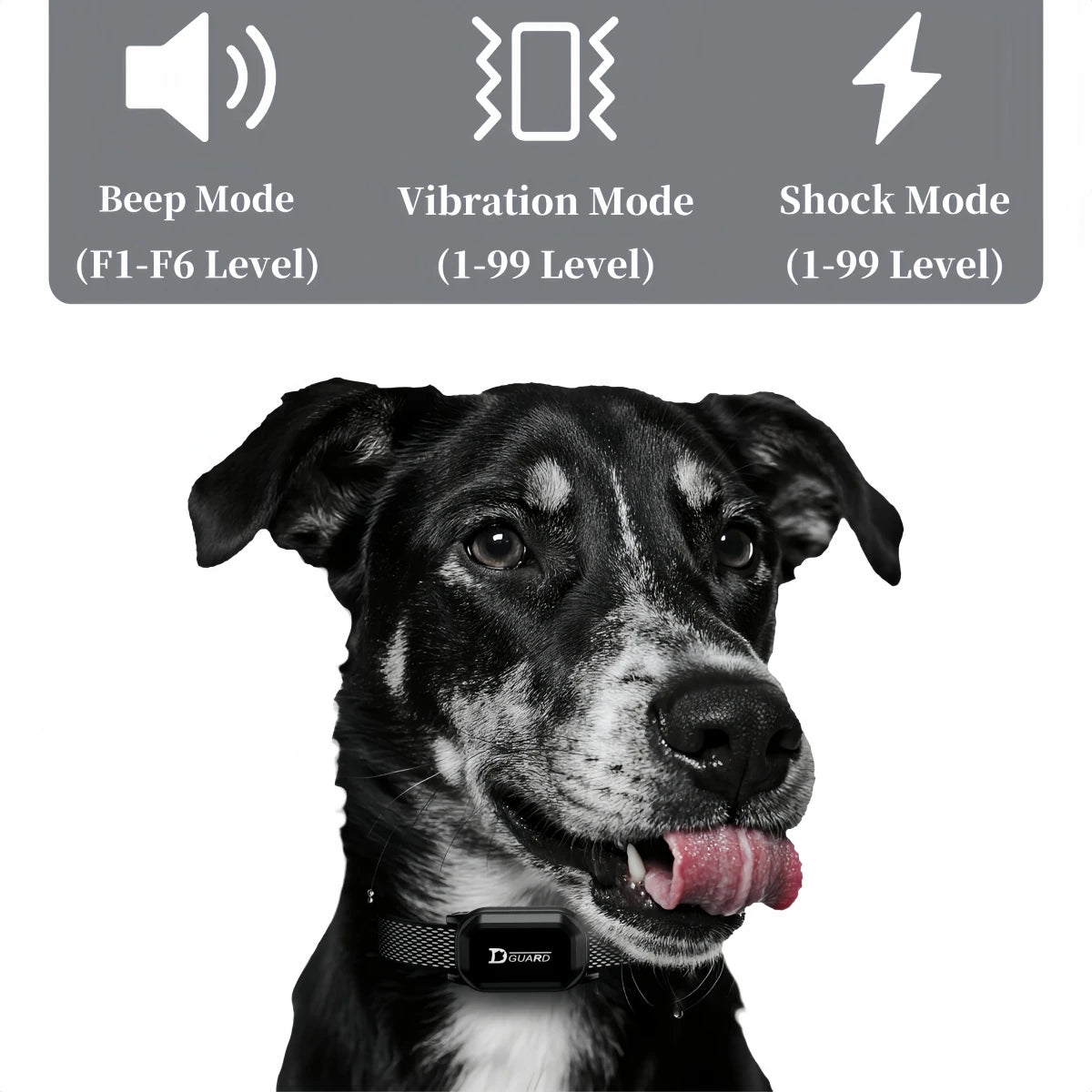 Digital Dog Training Collar Waterproof Rechargeable Remote Control