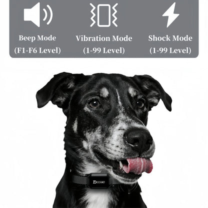 Digital Dog Training Collar Waterproof Rechargeable Remote Control