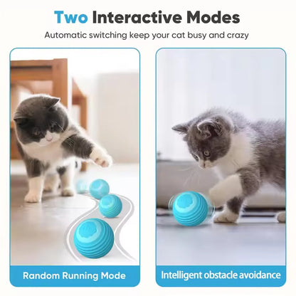 Interactive Smart Rolling Cat Ball