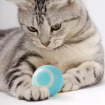 Interactive Smart Rolling Cat Ball