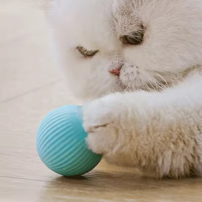 Interactive Smart Rolling Cat Ball