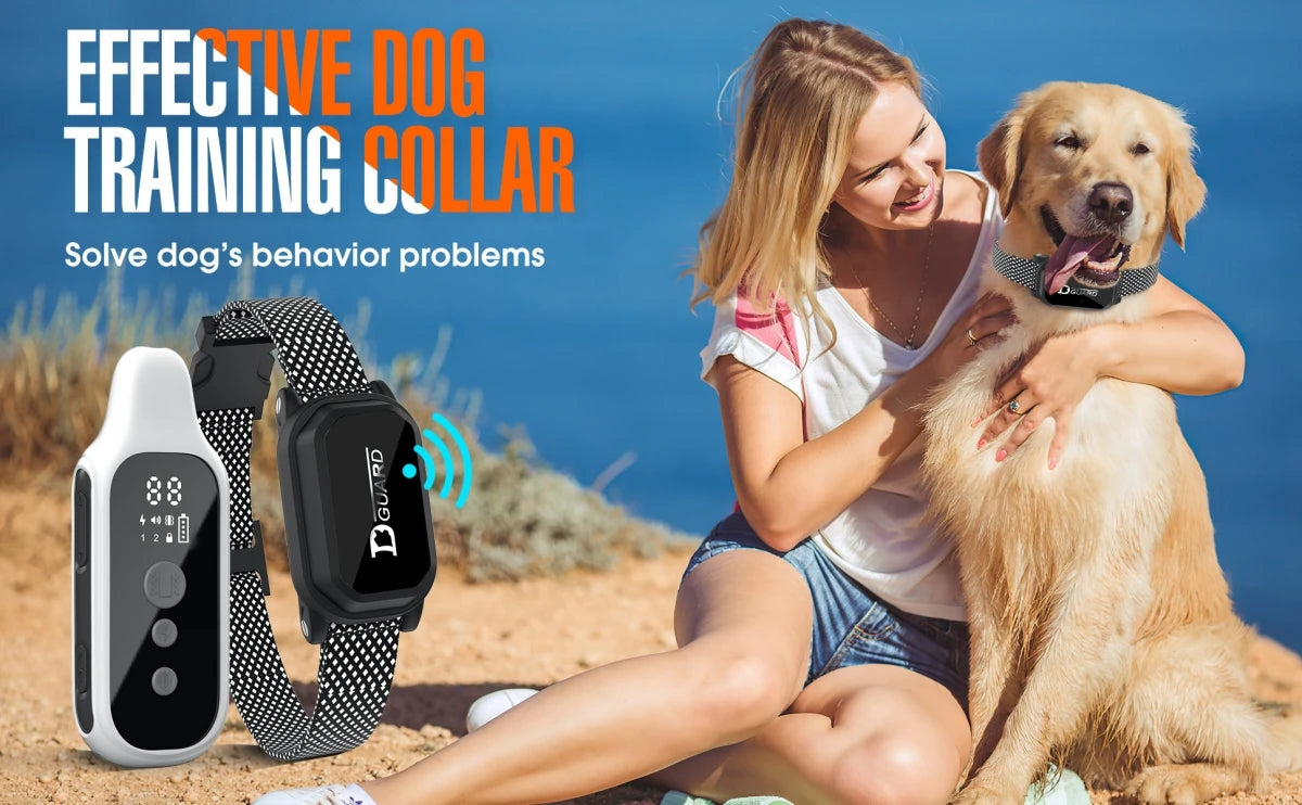 Digital Dog Training Collar Waterproof Rechargeable Remote Control