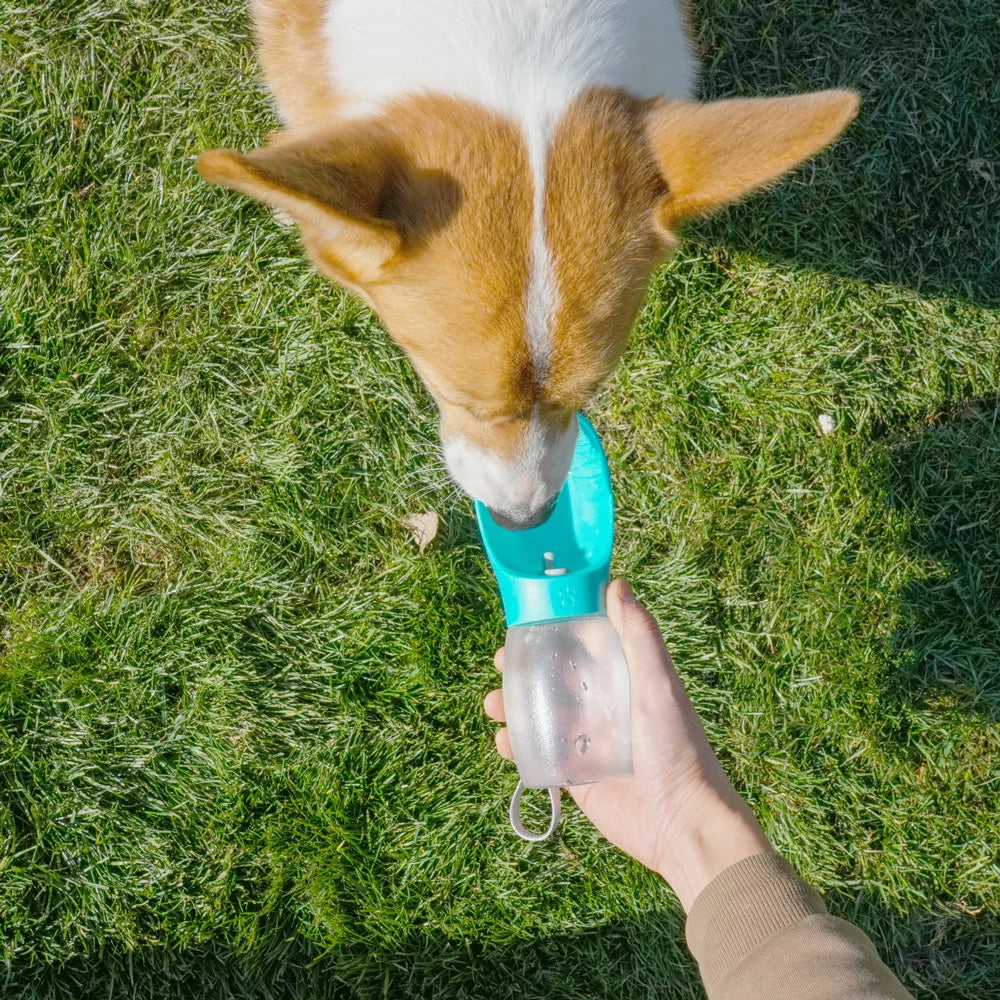 Pet Dog Water Bottle 300ML