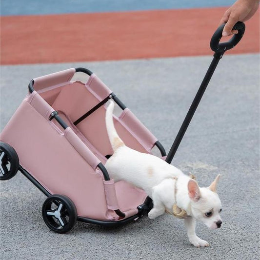 f747a38e975ee35394cbcde5ae70dc04